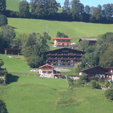 Auhof Apartments Niederau Luaran gambar