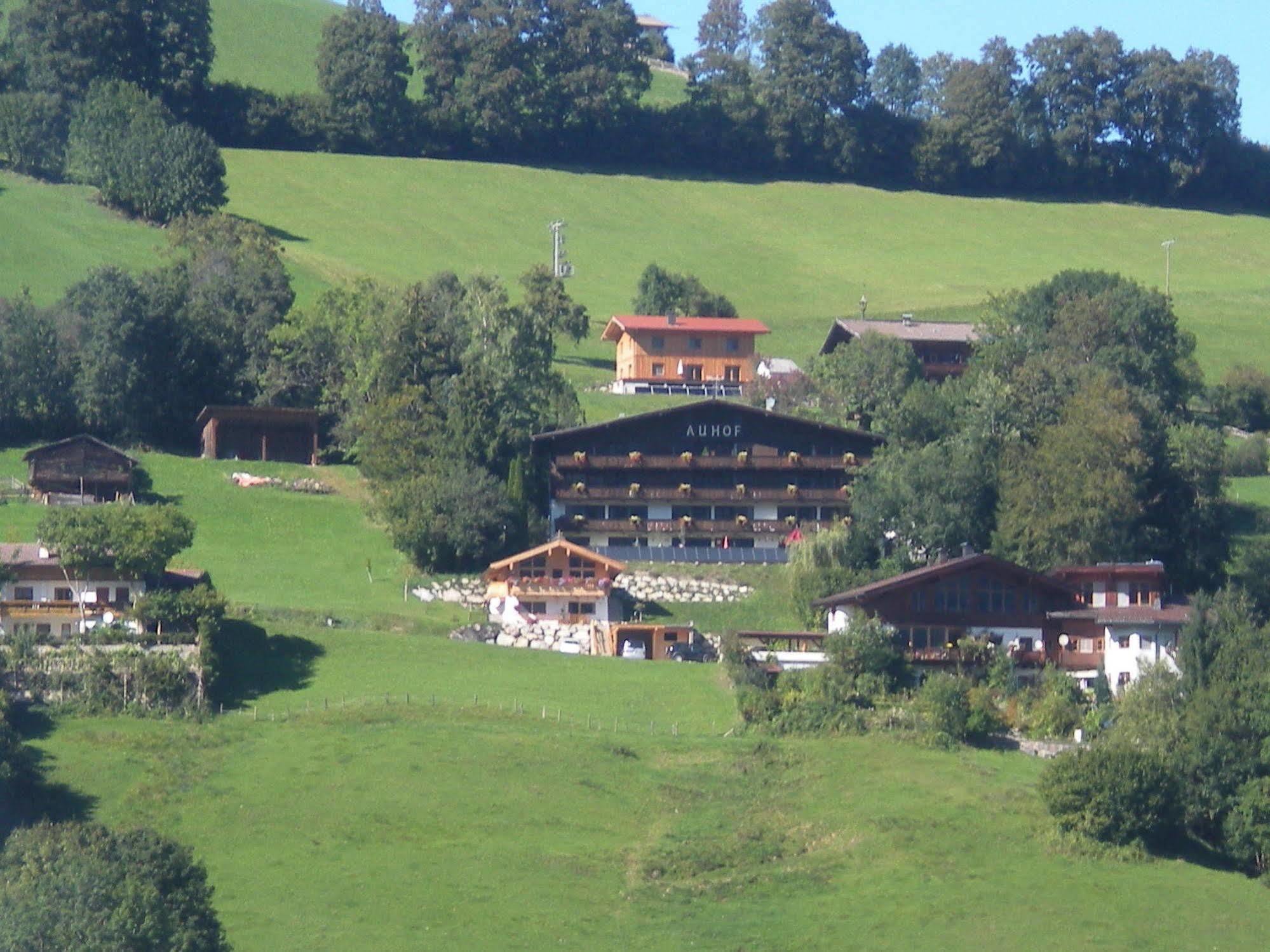 Auhof Apartments Niederau Luaran gambar