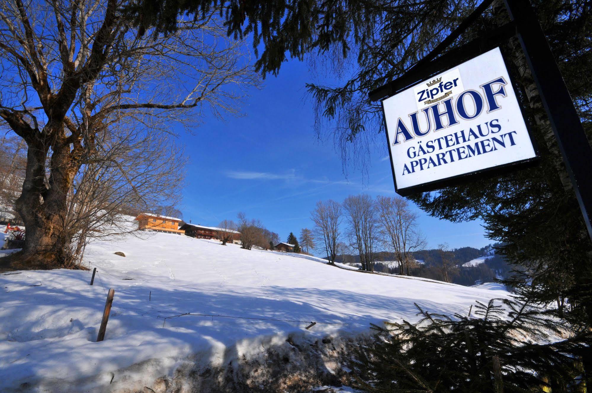 Auhof Apartments Niederau Luaran gambar